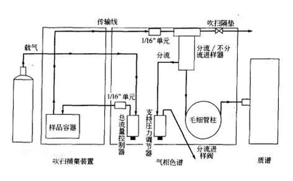 吹掃捕集自動進樣器和進樣口可調壓的氣相色譜基本結構 吹掃捕集自動進樣器和進樣口可調壓的氣相色譜基本結構